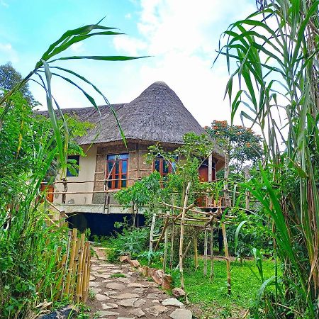 Chimpanzee Capital Safari Lodge Bigodi Eksteriør billede