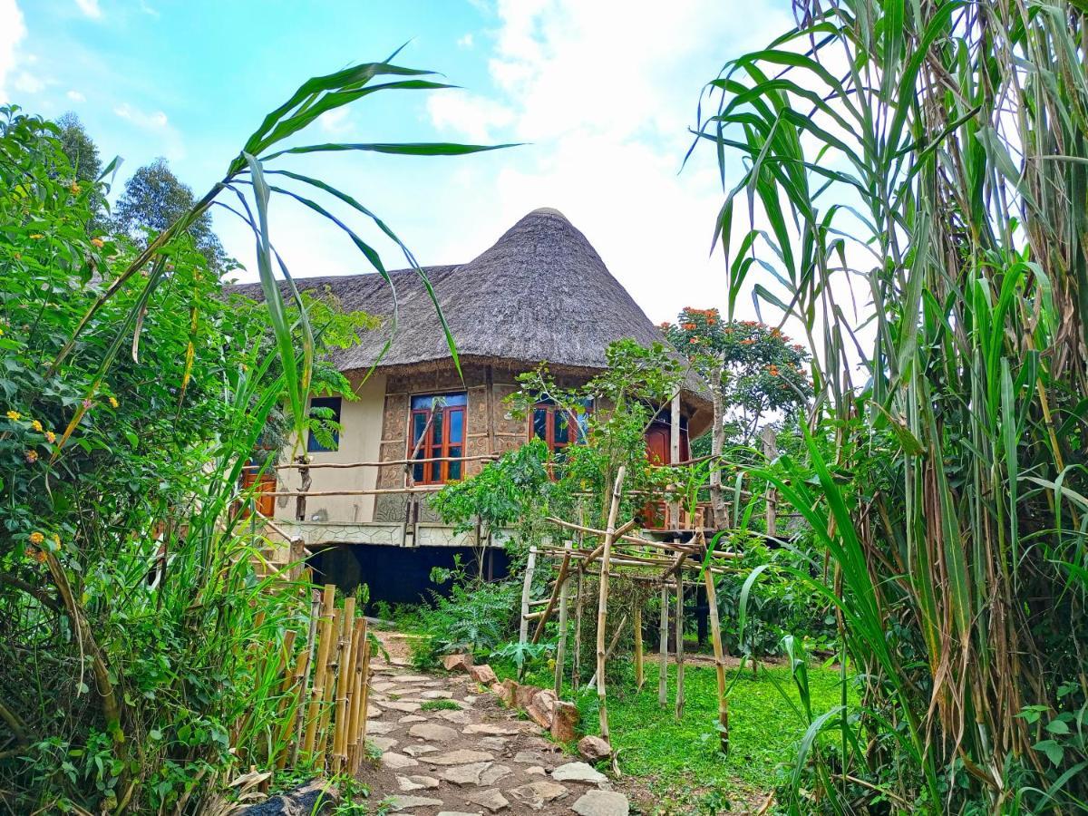 Chimpanzee Capital Safari Lodge Bigodi Eksteriør billede