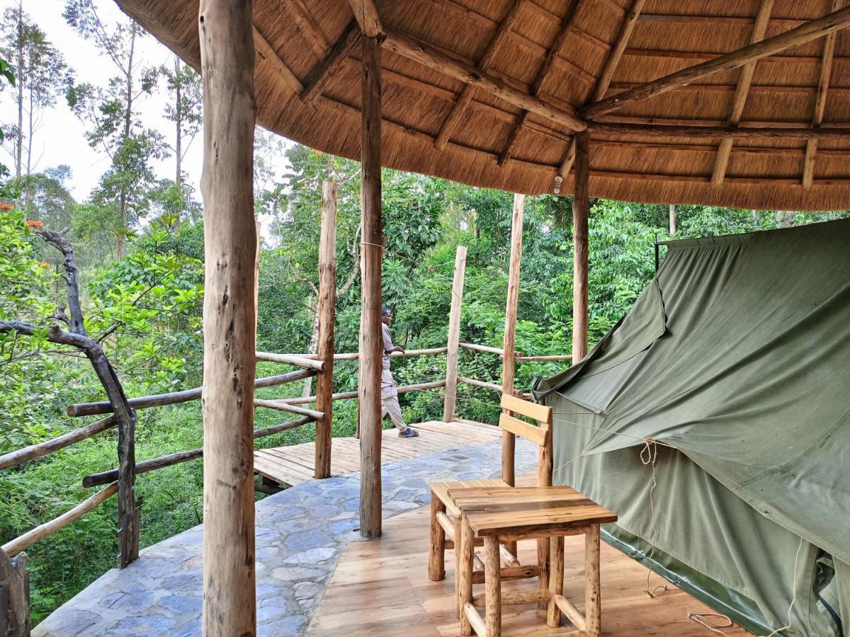 Chimpanzee Capital Safari Lodge Bigodi Eksteriør billede
