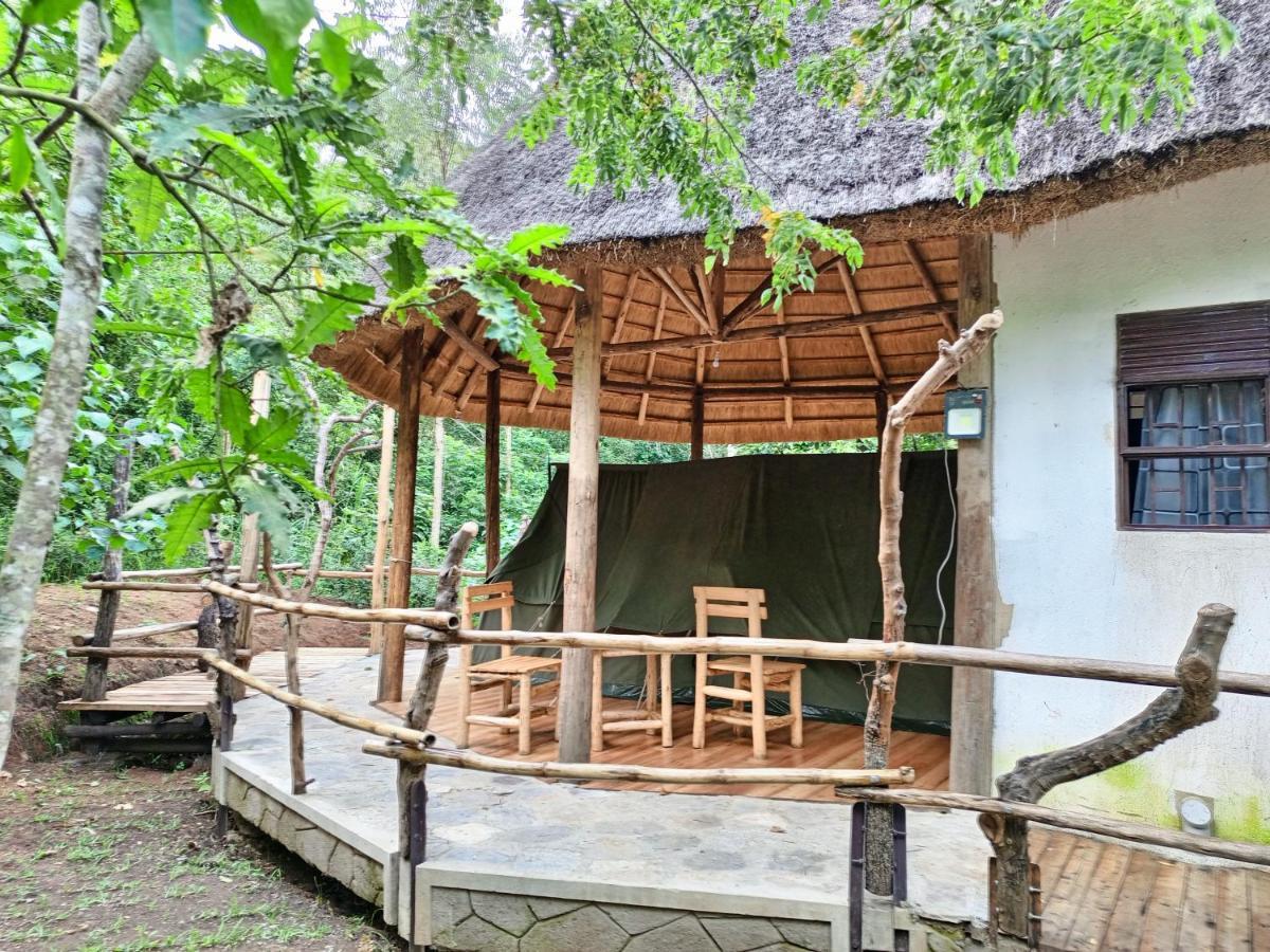 Chimpanzee Capital Safari Lodge Bigodi Eksteriør billede