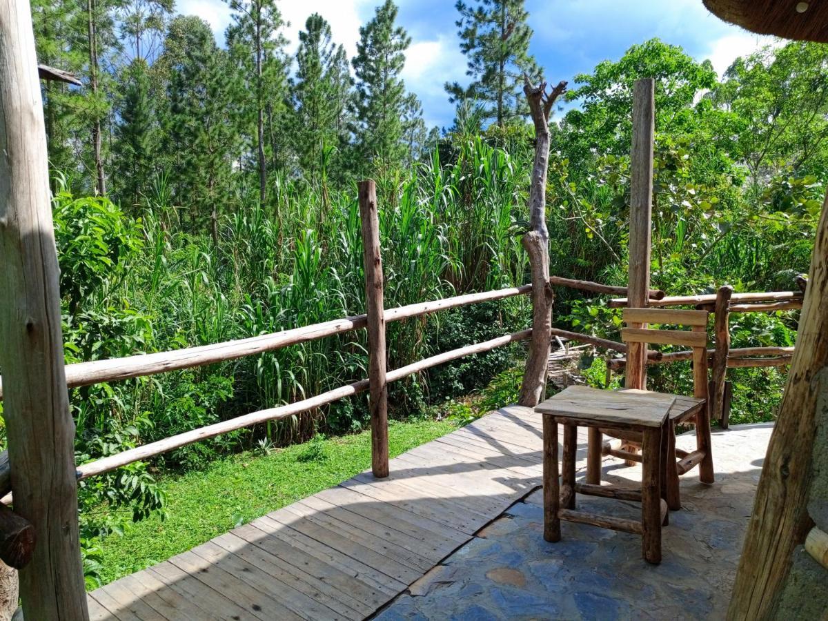 Chimpanzee Capital Safari Lodge Bigodi Eksteriør billede