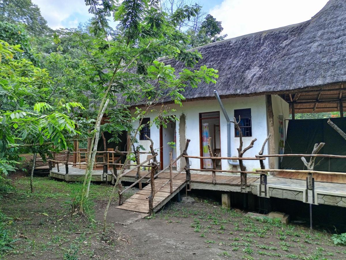 Chimpanzee Capital Safari Lodge Bigodi Eksteriør billede